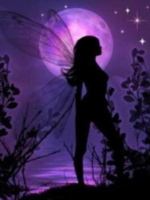 Beautiful Fairy.jpg